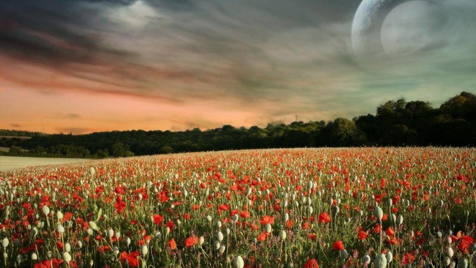 Golang中有必要实现Async/Await吗?